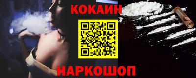 крисы Кулебаки