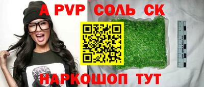 крисы Кулебаки